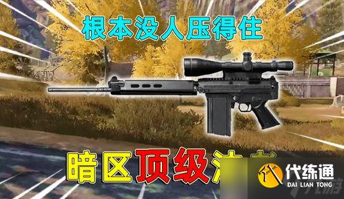 暗区突围法老是什么枪(暗区突围法老满改装)