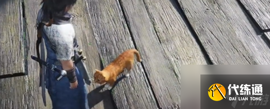 燕云十六声神仙渡猫咪在哪