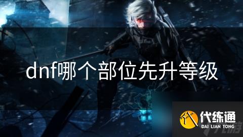 dnf哪个部位先升等级