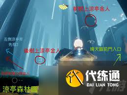 光遇雨林通關技巧