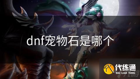 dnf宠物石是哪个