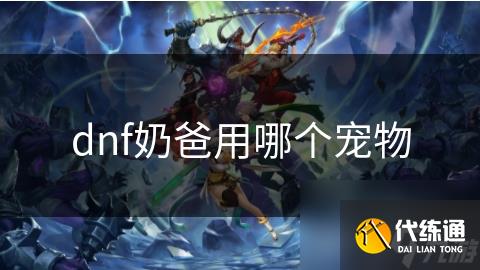 dnf奶爸用哪个宠物