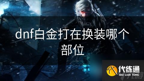 dnf白金打在换装哪个部位