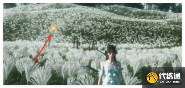 燕云十六声宝箱位置怎么显示