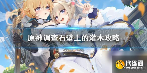 原神调查石壁上的灌木在哪 原神手游石壁上的灌木怎么攻略