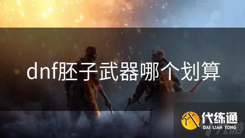 dnf胚子武器哪個劃算
