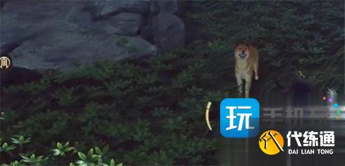 燕云十六声伏禄寿正确答案攻略