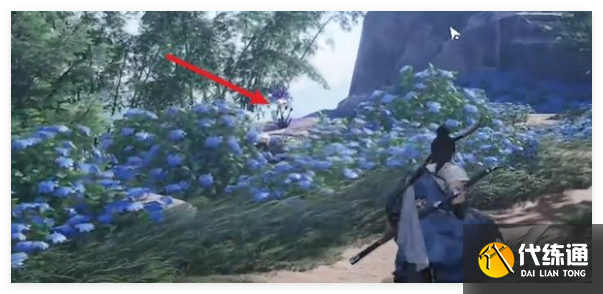 燕云十六声佛光顶蹊跷怎么找