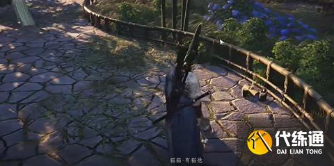 燕云十六声不羡仙猫咪在哪