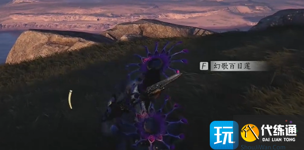 燕云十六声临江驿蹊跷收集攻略