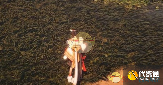 《燕云十六声》双剑流玩法介绍