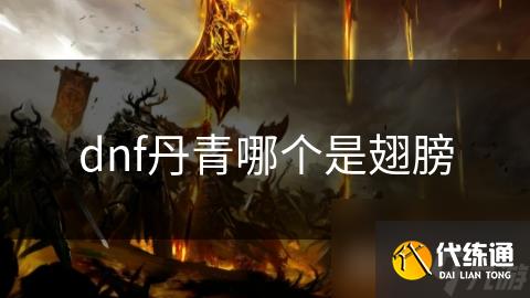 dnf丹青哪个是翅膀