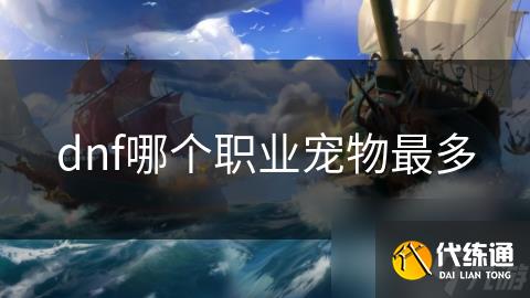 dnf哪个职业宠物最多