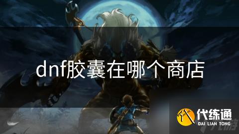 dnf胶囊在哪个商店