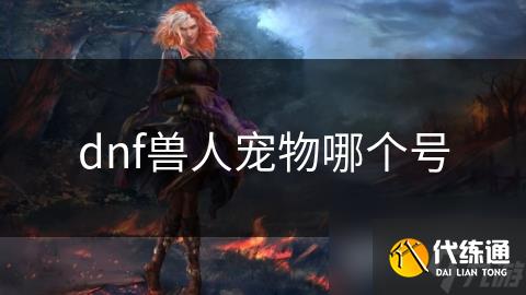 dnf兽人宠物哪个号
