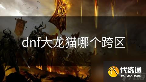 dnf大龙猫哪个跨区