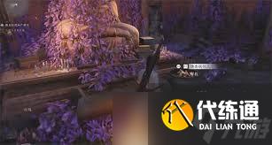 燕云十六声侠境：高手攻略，如何精准抓人眼球的战斗技巧！