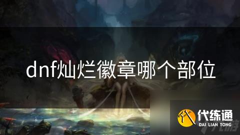 dnf灿烂徽章哪个部位