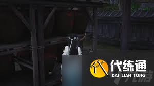 燕云十六声摇红一梦奇遇完成攻略