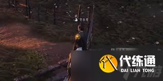 燕云十六声贾善男如何提升好感度