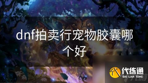 dnf拍卖行宠物胶囊哪个好