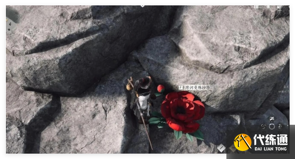 燕云十六声来生岸之一花中愿任务怎么做