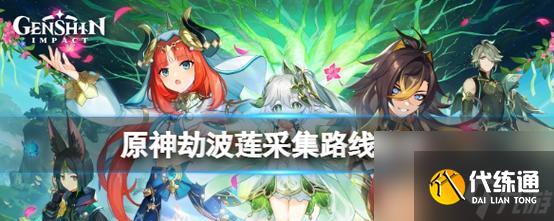原神劫波莲采集路线一览？如何快速找到劫波莲？