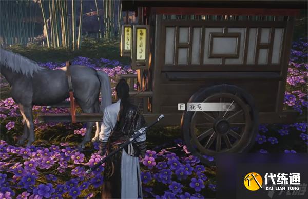 燕云十六聲花海探游任務攻略分享