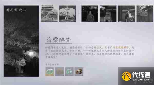 《燕云十六声》海棠醉梦任务怎么做