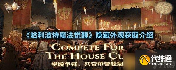 《哈利波特魔法觉醒》隐藏外观获取介绍