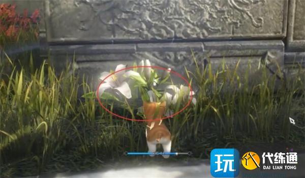 逆水寒手游酩酊夢貍奇遇如何完成