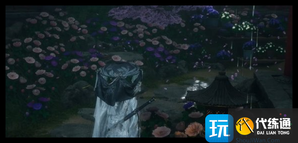 《燕云十六聲》芳菲有情箋風信花位置一覽