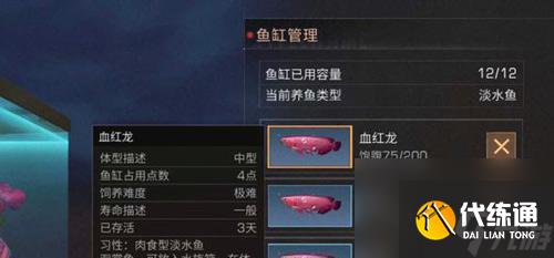明日之后烤河豚料理效果如何？垂釣方法有哪些？