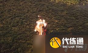 燕云十六聲雙劍PVE如何配裝及輸出