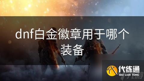 dnf白金徽章用于哪个装备