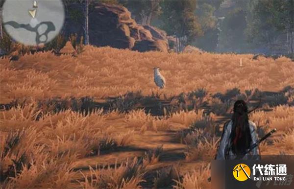 燕云十六声脂尾羊如何刷取