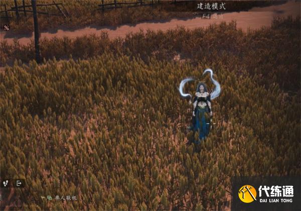 燕云十六声福舟寄彩宵任务卡bug方法