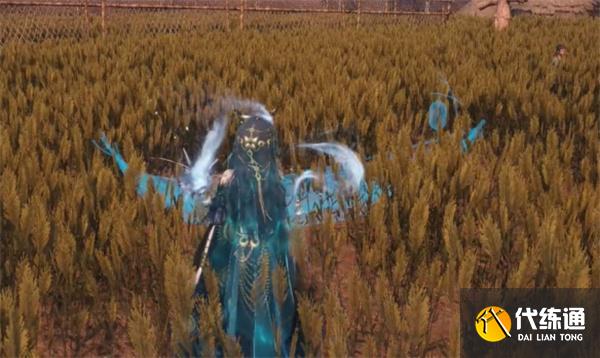 燕云十六声福舟寄彩宵任务卡bug方法