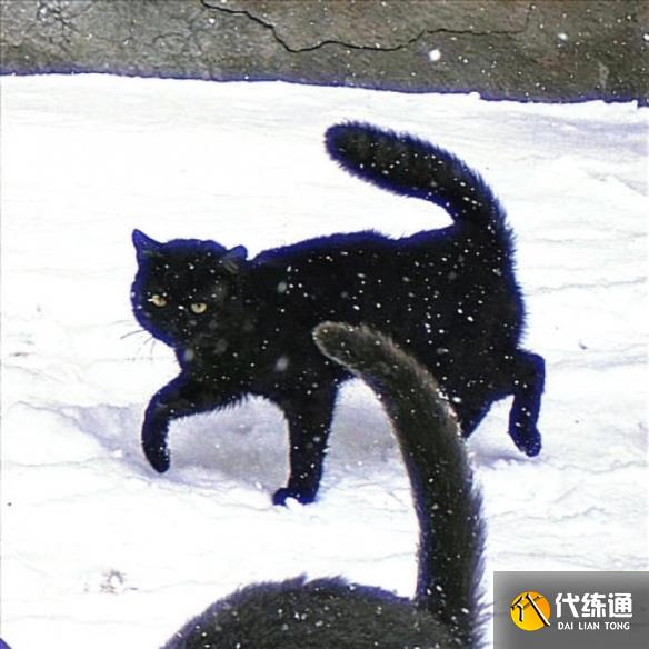 游侠网4
