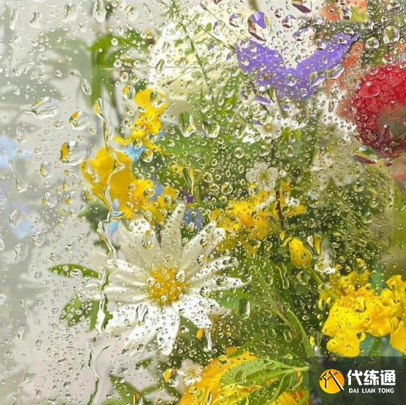 游侠网5