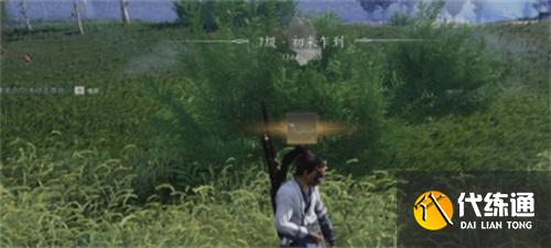 燕云十六聲醒愁玉桂枝獲取方法