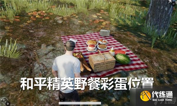 和平精英野餐彩蛋位置在哪