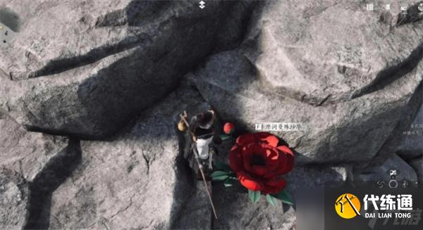 燕云十六声花中愿任务完成方法分享