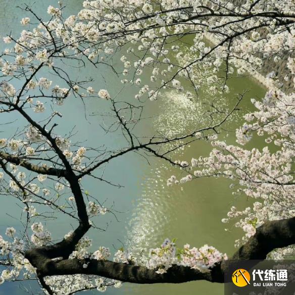 游侠网4