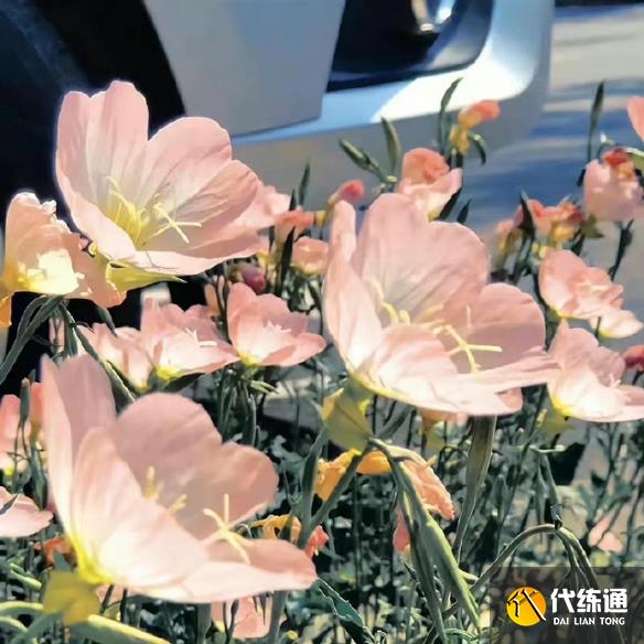 游侠网4
