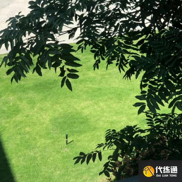 游侠网5