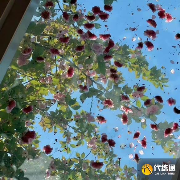 游侠网6