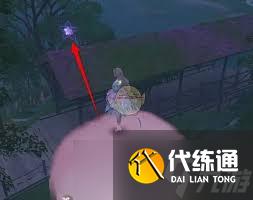 无限暖暖：高效完成小星换大星任务攻略