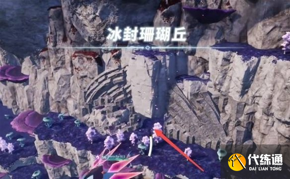 游侠网5