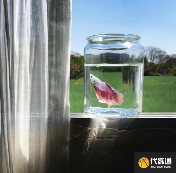 游侠网6